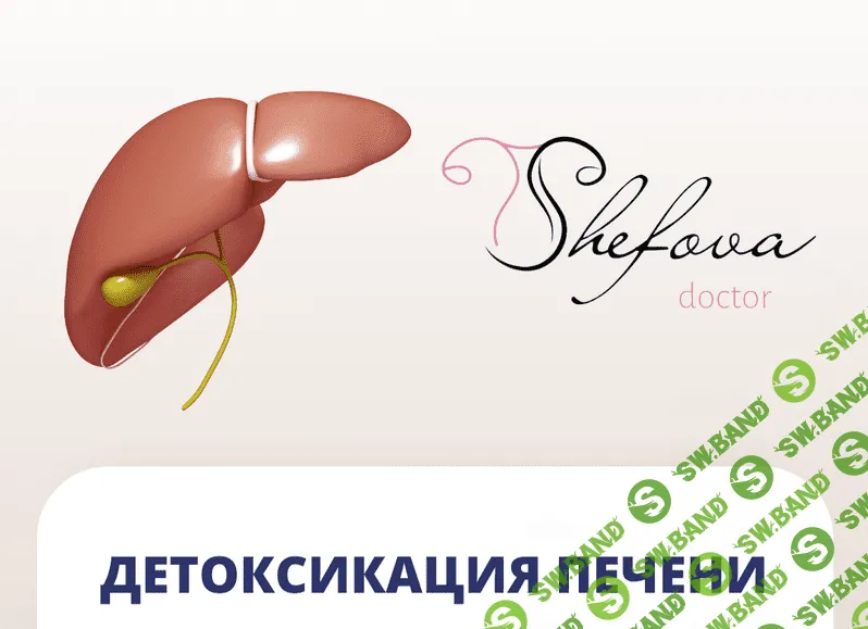 [Шефова Юлия] Детоксикация печени (2022)