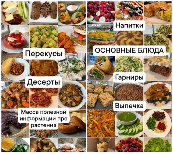 Medical Medium - Рецепты для исцеления по методике Медикал Медиум (2024)