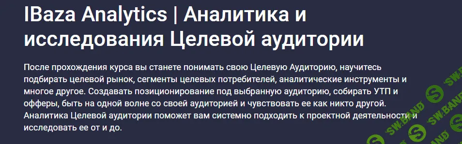 [Stepik] Аналитика и исследования целевой аудитории - 2024