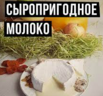 [Екатерина Кокоченко] Сыропригодное молоко: основные показатели, требования к условиям получения (2023)