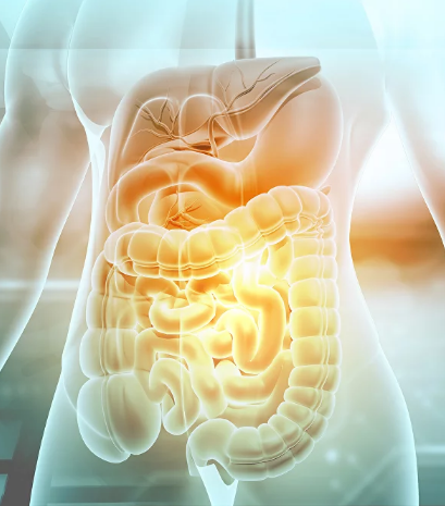 SUPER VIP [Антон Поляков] Восстановление желудочно-кишечного тракта (2023)