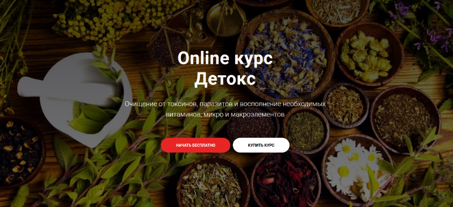 SUPER VIP [Тимофей Кармацкий] Online курс "Детокс" (2023)