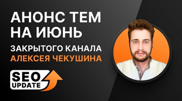 SUPER VIP [Алексей Чекушин] Закрытый телеграм-канал "SEO Update". Июнь (2024)