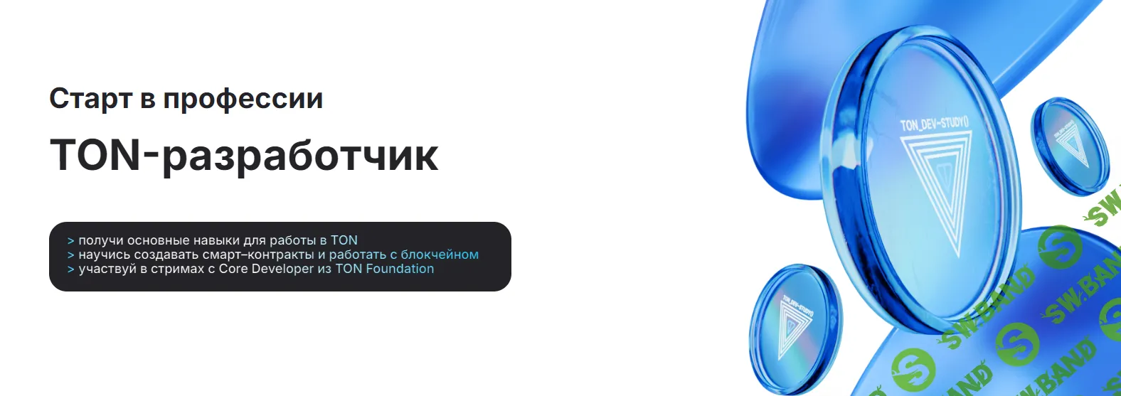 [Андрей Пфау] Старт в профессии TON-разработчик. Тариф Асинхрон (2024)