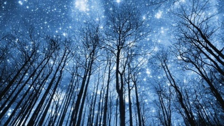 [Анна Староминская, Константин Дараган] Астрология налегке (Март-Апрель 2025)