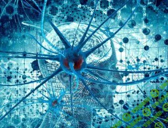 [Архэ] Введение в когнитивную нейронауку. Лекция 6. Мозг во сне (2025)