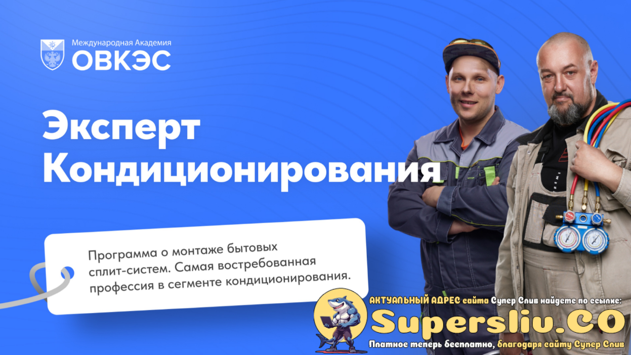 [ОВКЭС] Игорь Гончаров, Дмитрий HVAC ― Эксперт кондиционирования (2025)