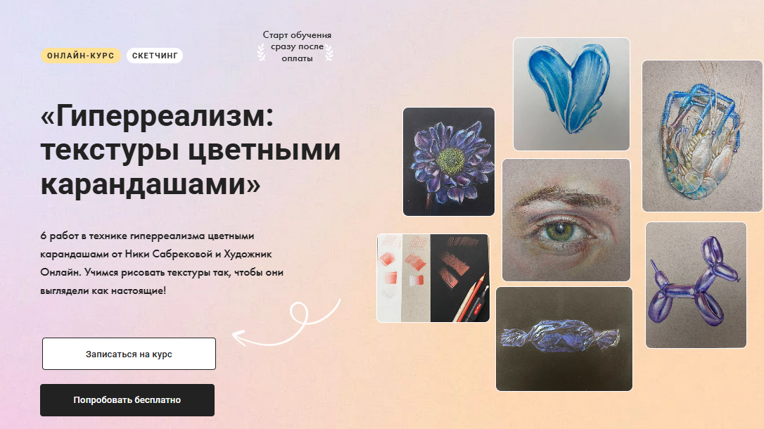 [Ника Сабрекова] [Художник Онлайн] Гиперреализм: текстуры цветными карандашами (2025)