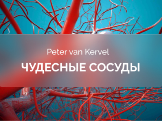 [Питер Ван Кервель] [Краниосакральная академия] Чудесные сосуды (2025)
