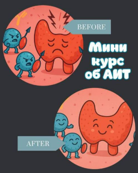 [Лариса Чумак, endo_doc_] Мини курс по АИТ (2025)