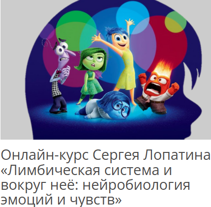 [Сергей Лопатин] Лимбическая система и вокруг неё. Нейробиология эмоций и чувств. Радость познания. Нейробиология любопытства. Лекция 1 (2025)