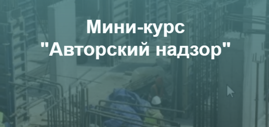 [Владимир Белугин] [Pro-Z] Авторский надзор (2024)