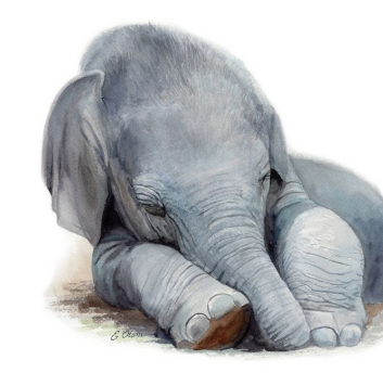 [Ольга Муравьева] Бич Пакет. Сезон II. Слон (2024)