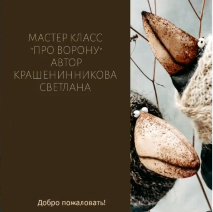 [Светлана Крашенинникова] Про Ворону (2025)